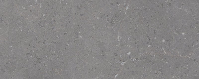 Genesis Anthracite 8" x 20" Ceramic Matte Wall Tile (10.76 SF/Carton)