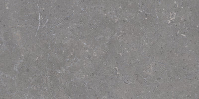 Genesis Anthracite 12" x 24" Porcelain Matte Floor and Wall Tile (11.62 SF/Carton)