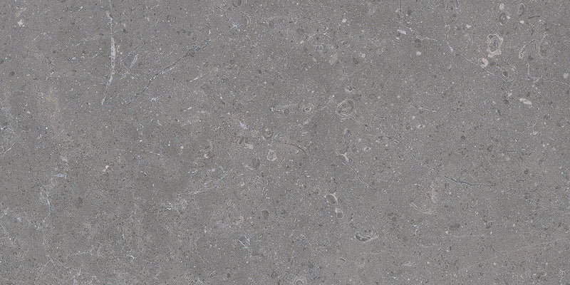 Genesis Anthracite 12" x 24" Porcelain Matte Floor and Wall Tile (11.62 SF/Carton)