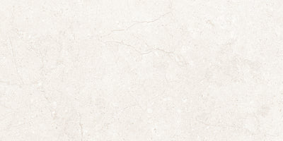 Genesis White 12" x 24" Porcelain Matte Floor and Wall Tile (11.62 SF/Carton)