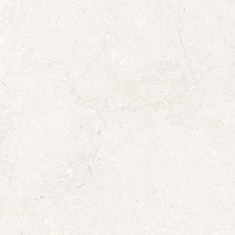 Genesis White 18" x 18" Porcelain Matte Floor and Wall Tile (15.26 SF/Carton)