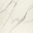 Calacatta 24" x 24" Matte Porcelain Floor and Wall Tile (15.38 SF/Carton)