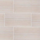 Concrete 12" x 24" Ceramic Floor and Wall Matte Tile (16/SF Carton)