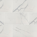 Vanesa Polished Porcelain Floor and Wall Tile (16 SF/Carton)