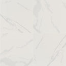 Vanesa Polished Porcelain Floor and Wall Tile (16 SF/Carton)