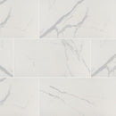 Vanesa Polished Porcelain Floor and Wall Tile (16 SF/Carton)
