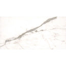 Foro 12" x 24" Matte Ceramic Field Matte Tile (16 SF/Carton)