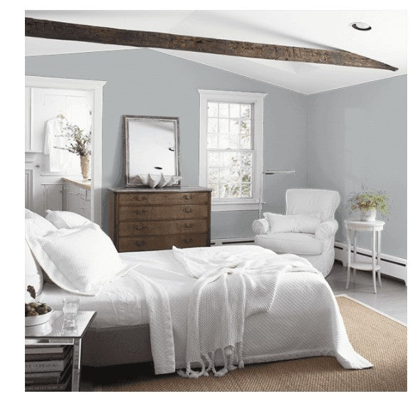 Benjamin Moore Eggshell Paint Interior Eternity AF-695