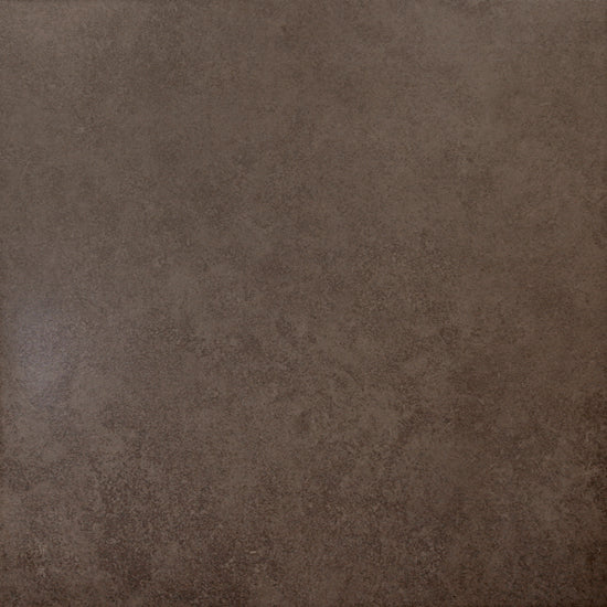 Laguna Bronze 13" x 13" Porcelain Matte Floor and Wall Tile (10.76 SF/Carton)