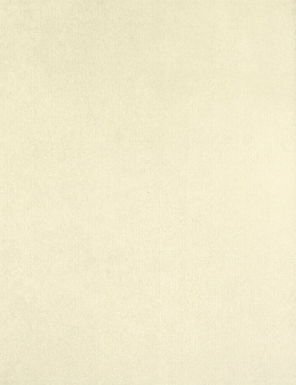 Laguna Ivory 10" x 13" Ceramic Matte Wall Tile (16.21 SF/Carton)