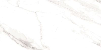 Naos White Floor and Wall porcelain Polished Tile (15.5/Carton)