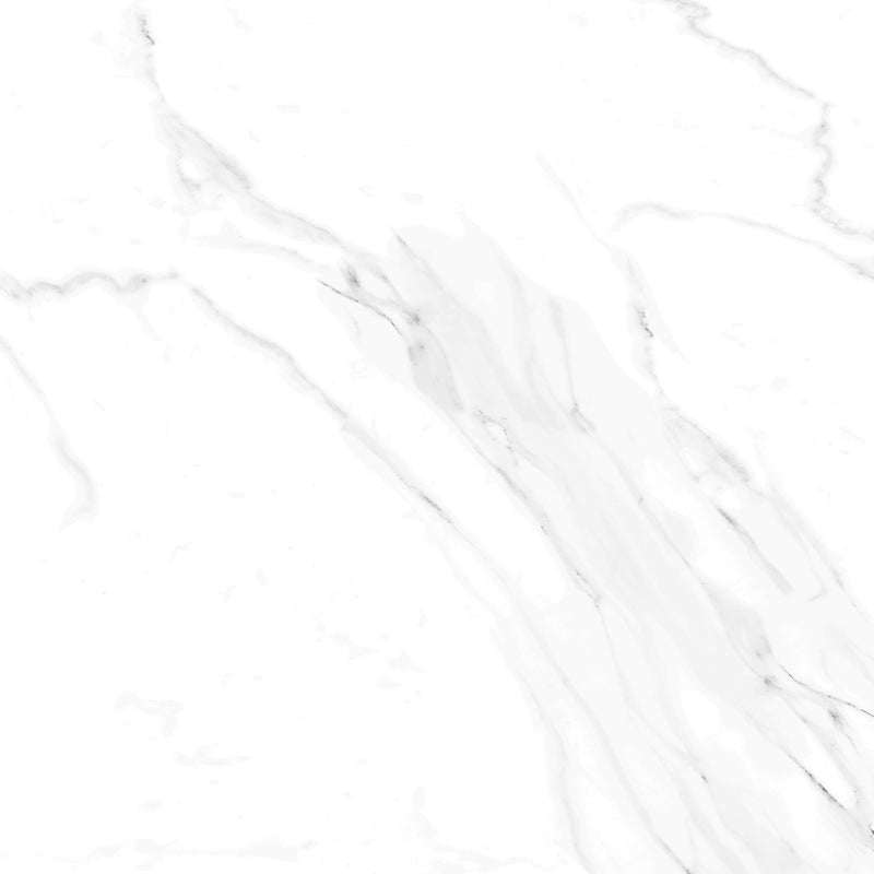 Naos White Floor and Wall porcelain Polished Tile (15.5/Carton)