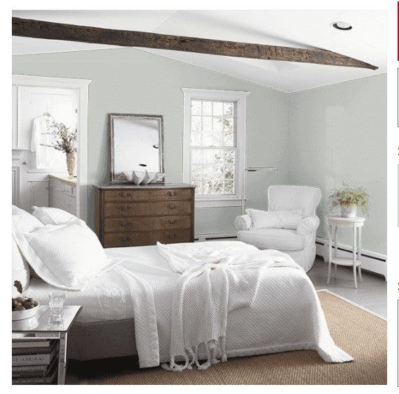 Benjamin Moore Eggshell Paint Interior Alaskan Husky 1479