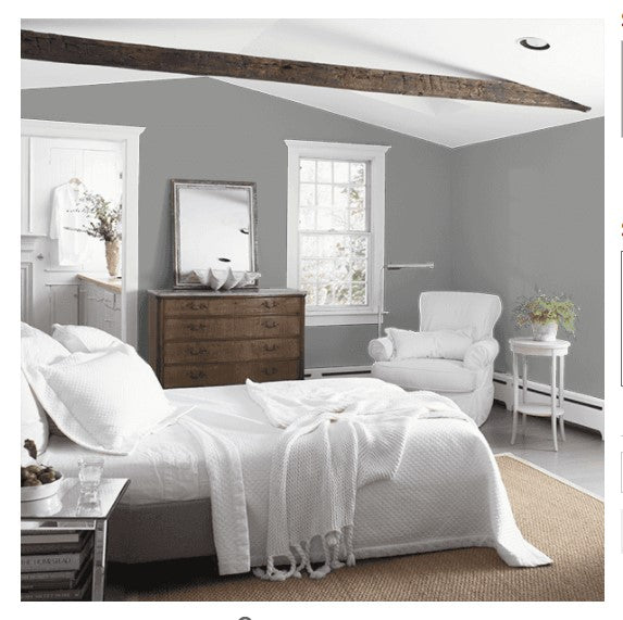 Benjamin Moore Eggshell Paint Interior Storm AF-700