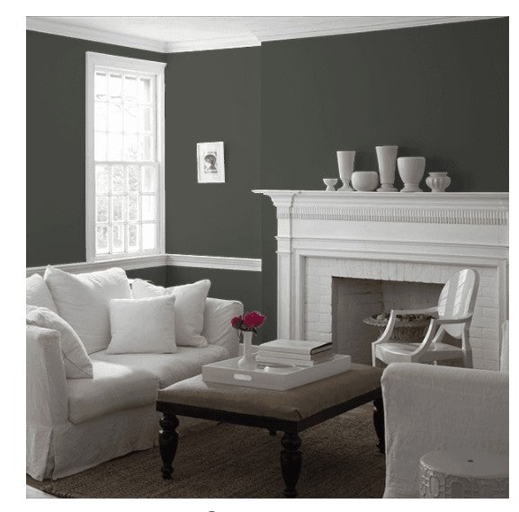 Benjamin Moore Eggshell Paint Interior Ashwood Moss 1484