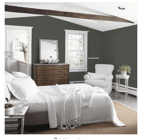 Benjamin Moore Eggshell Paint Interior Ashwood Moss 1484