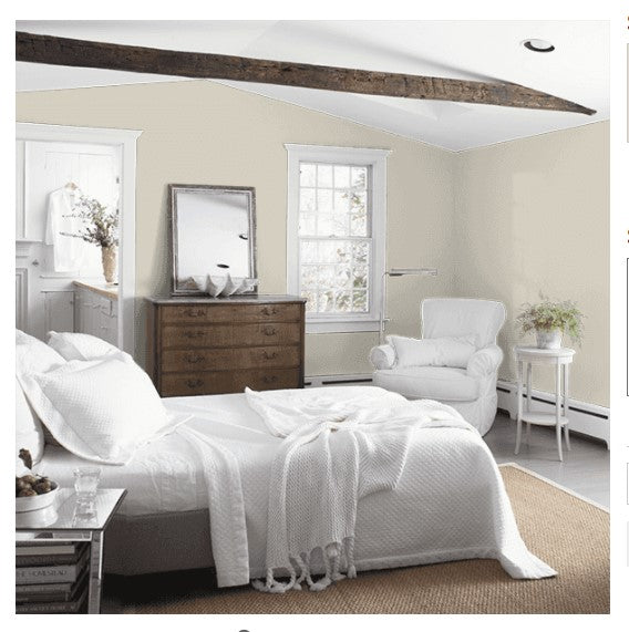 Benjamin Moore Eggshell Paint Interior Fossil AF-65