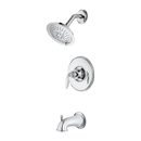 Tub&amp;Shower/PolishedChrome