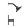 Pfister Deckard 1-Handle Shower/Tub & Shower Trim